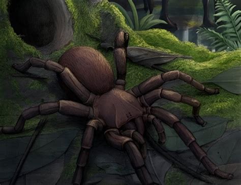 giant trapdoor spider fossil